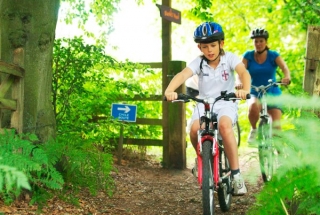  适合家庭出游的美好一天